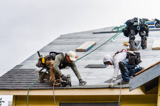 Professional Roofing technician working in Woolwich, ME